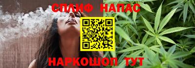 шишки Апшеронск