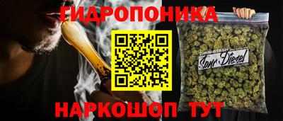 шишки Аргун