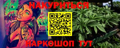 шишки Аргун